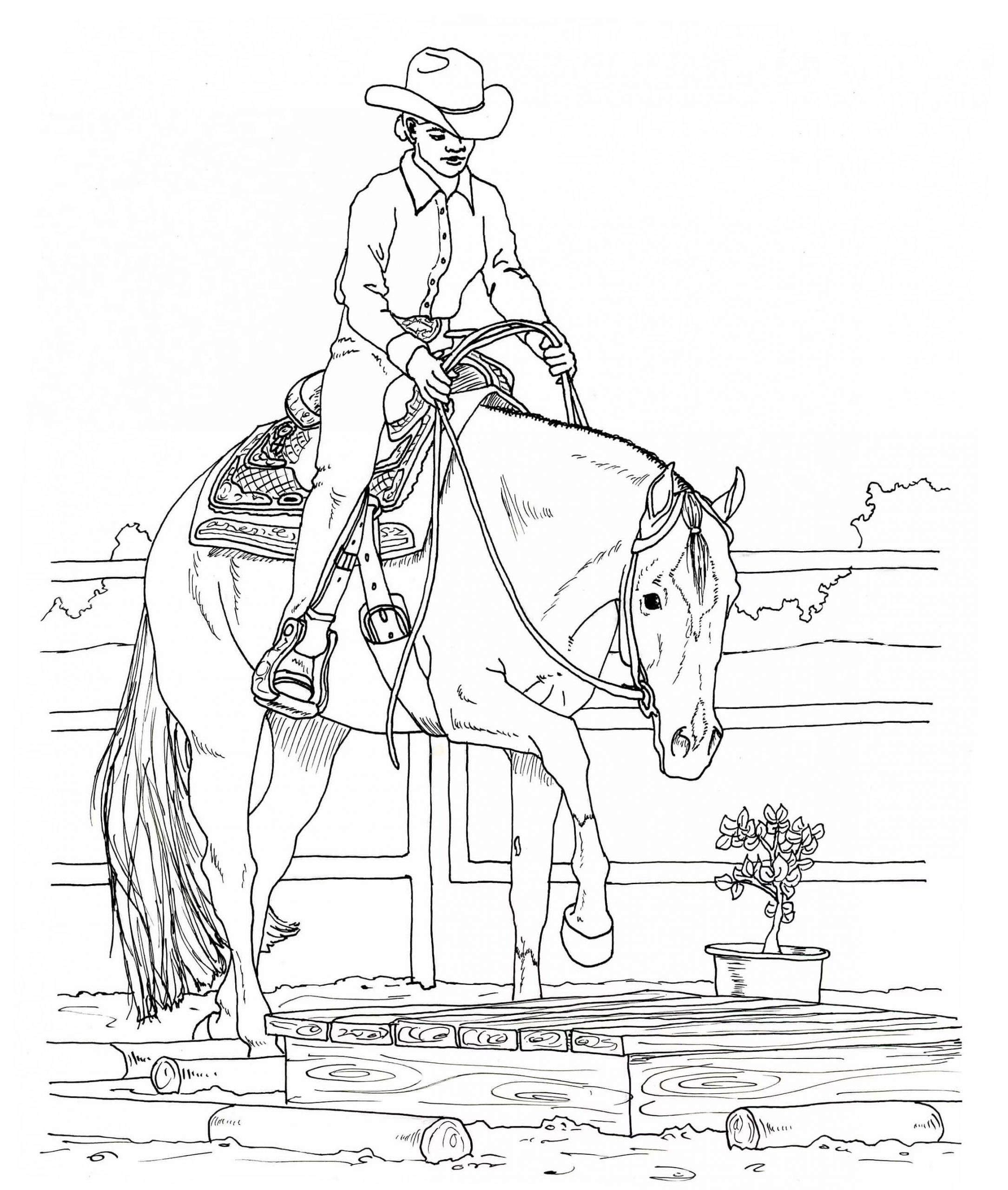 Cowboy-Reitpferd