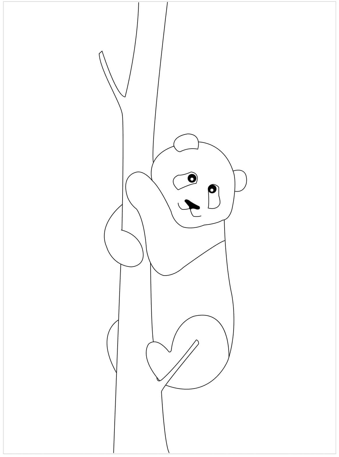 Einfaches Panda-Kletterseil