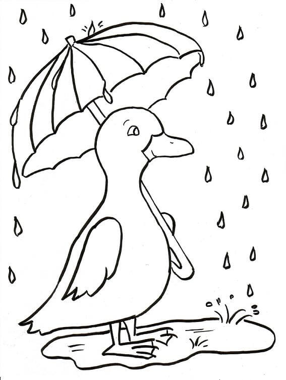 Ente hält Regenschirm im Regen