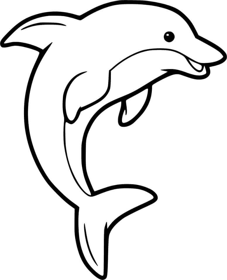 Grundlegender Delphin
