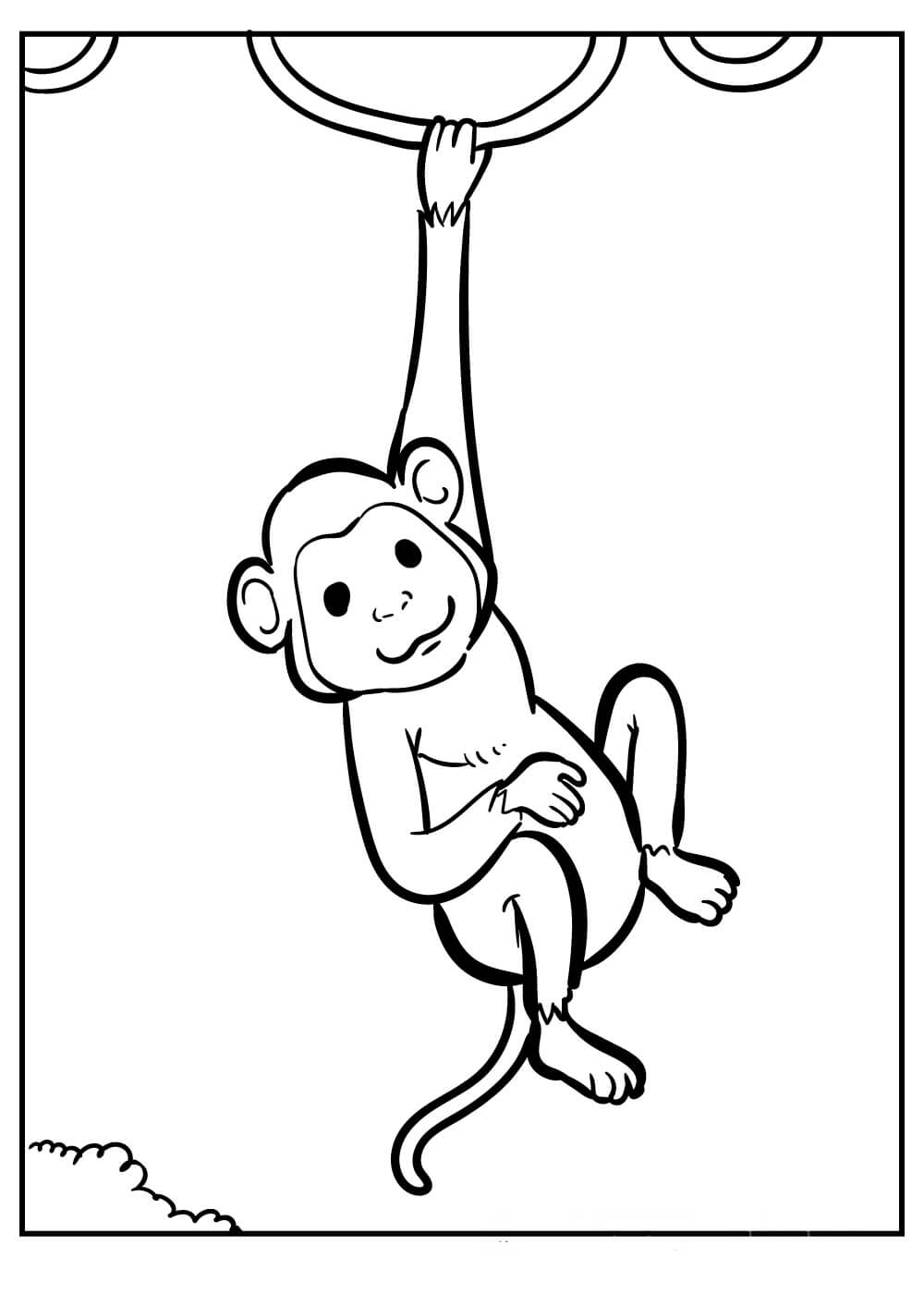 Grundlegendes Kletterseil für Affen