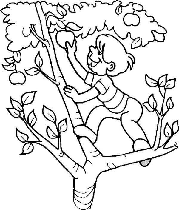 Junge Klettert auf einen Apfelbaum