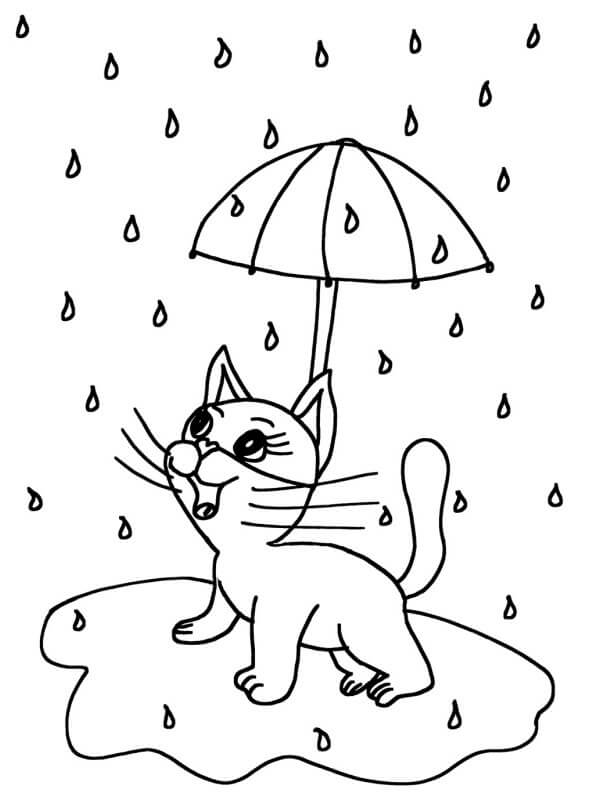 Katze hält Regenschirm im Regen