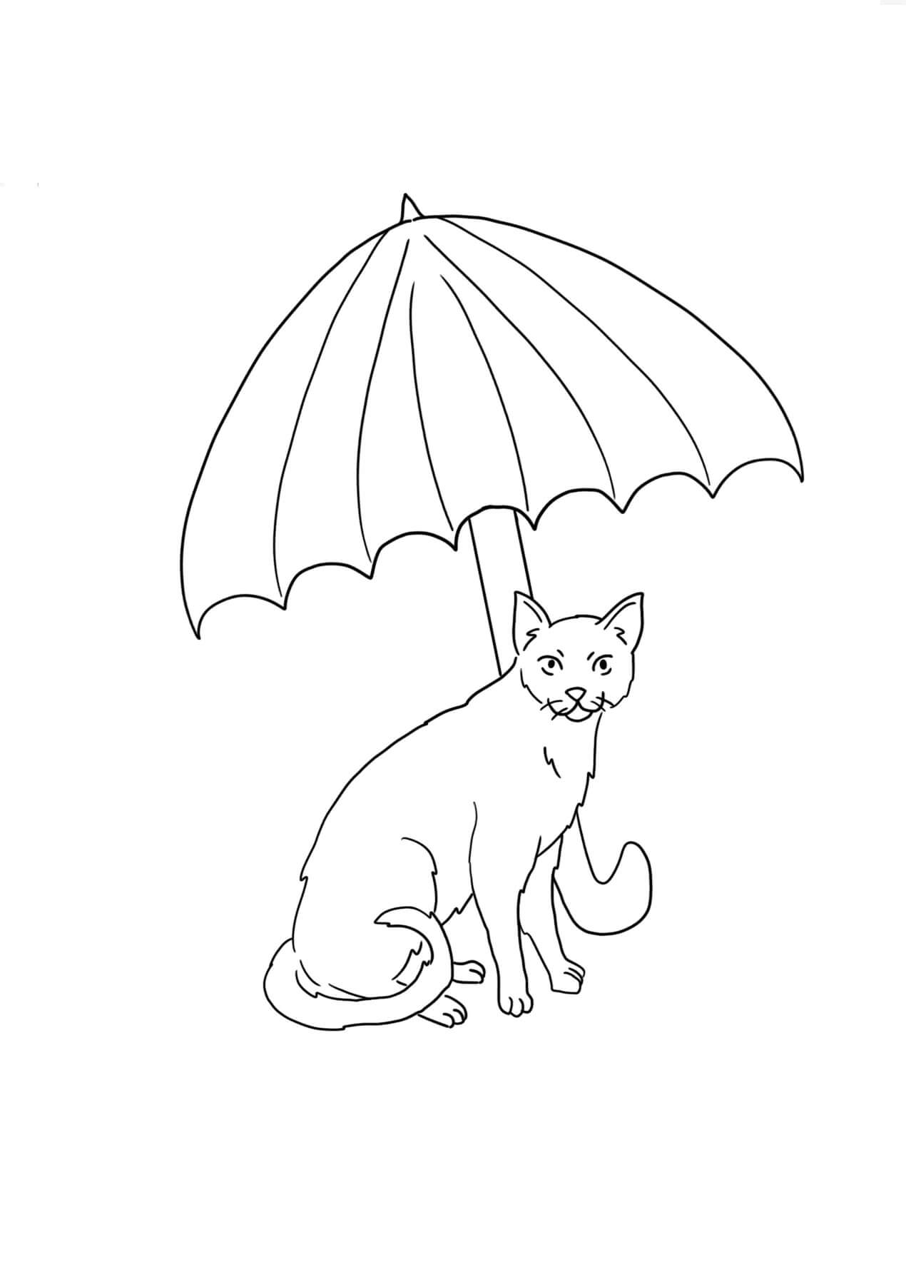 Katze hält Regenschirm