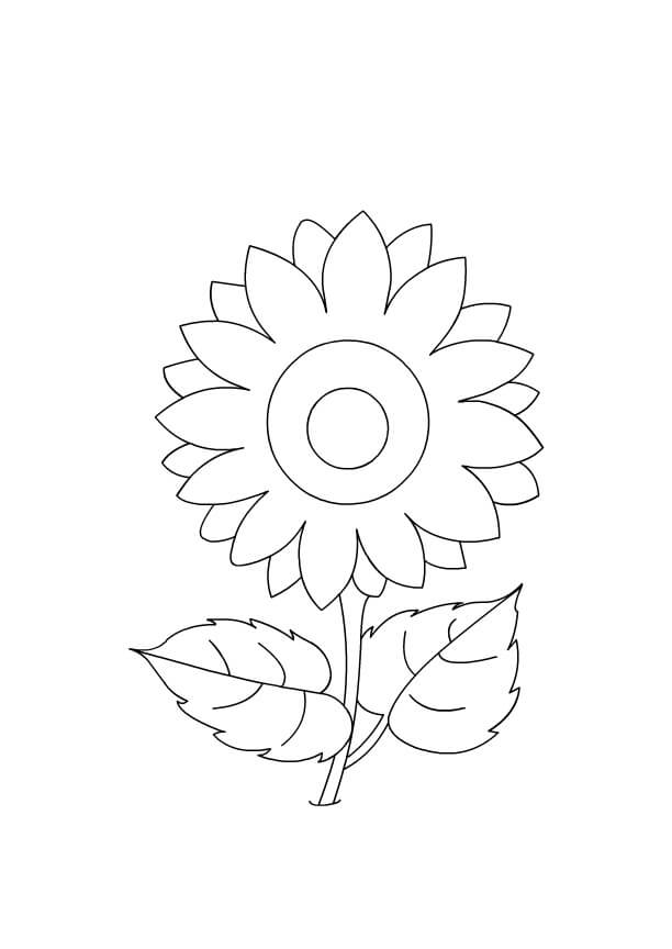 Kostenlose Sonnenblumen-Grafiken