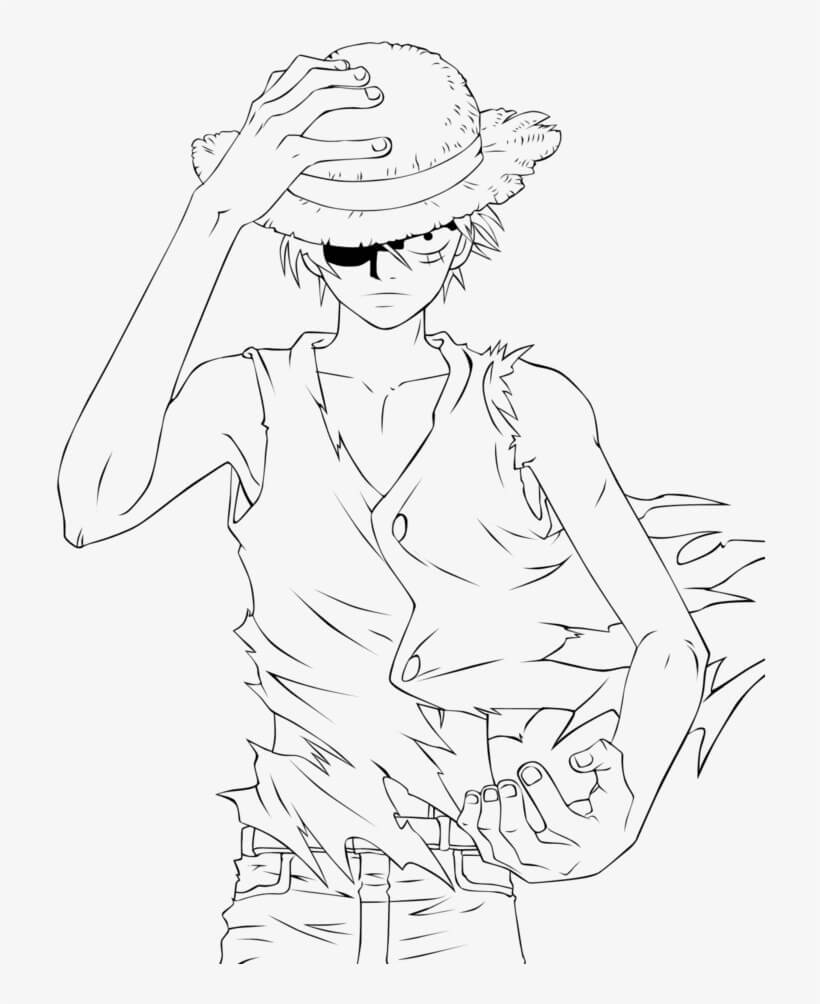 Luffy Nett