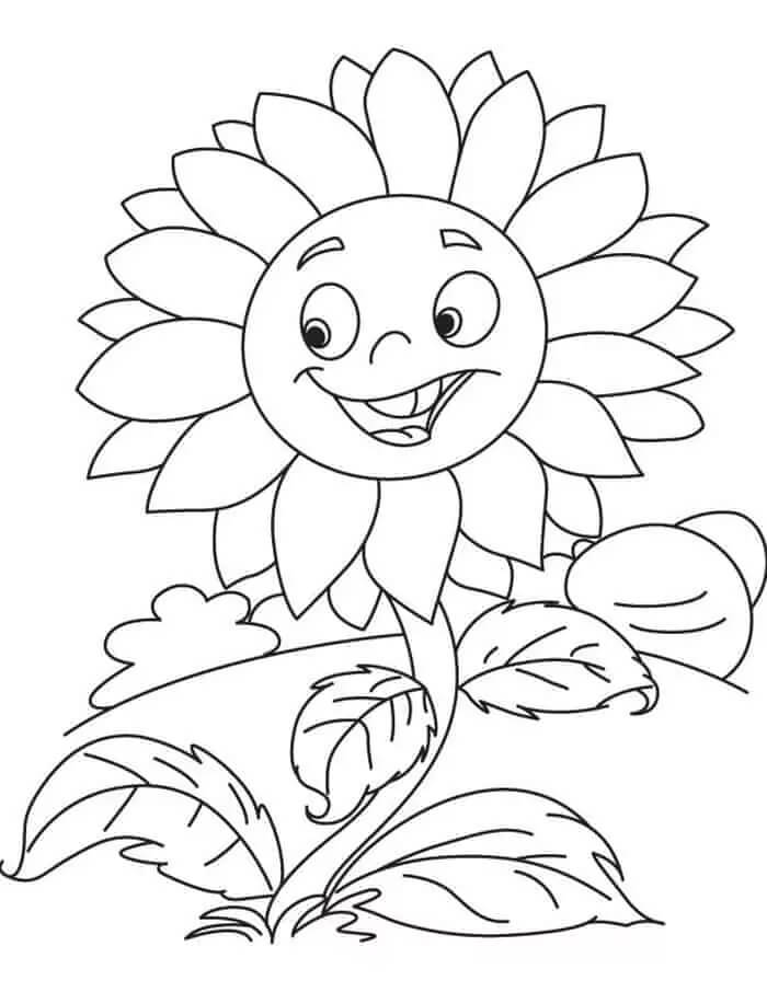 Lustige Sonnenblume