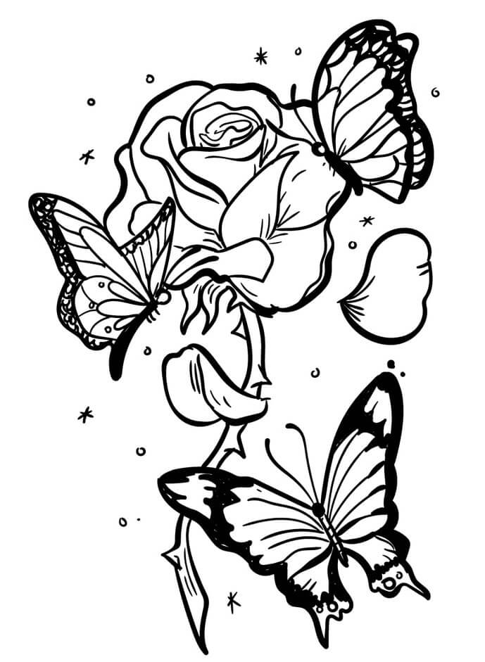 Rose mit drei Schönen Schmetterlingen