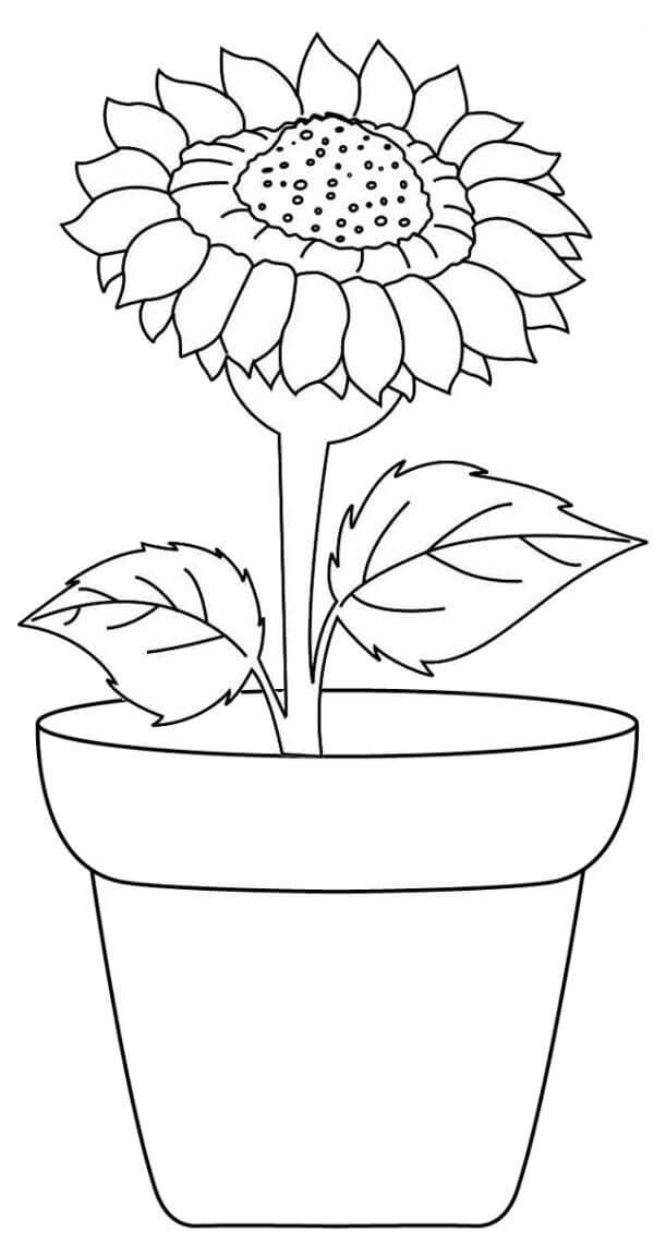 Vasensockel Sonnenblume
