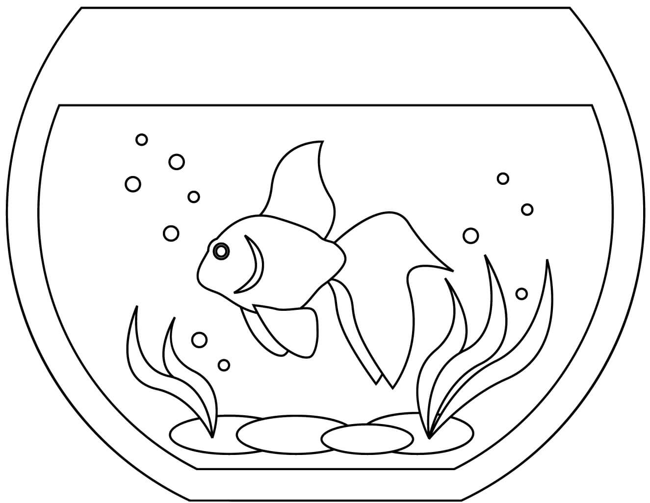 Ein Fisch im Aquarium