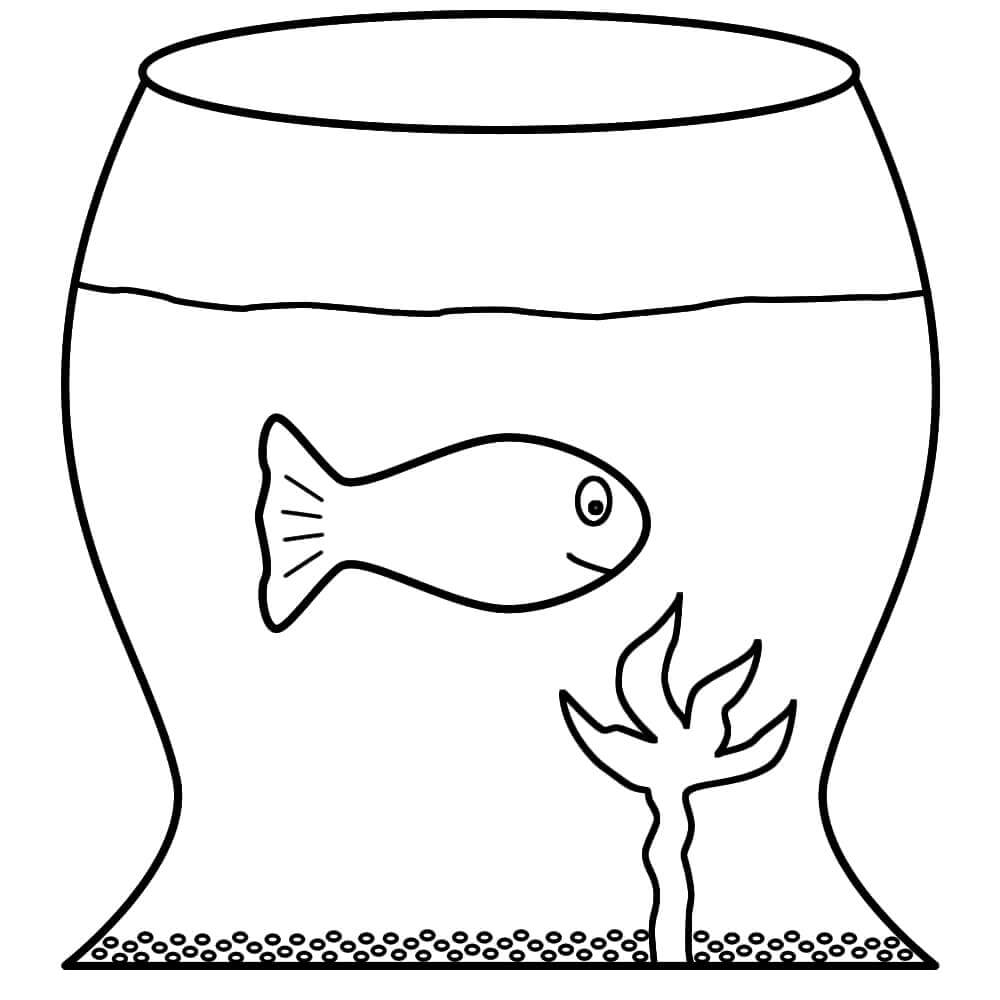 Einfache Fische im Aquarium