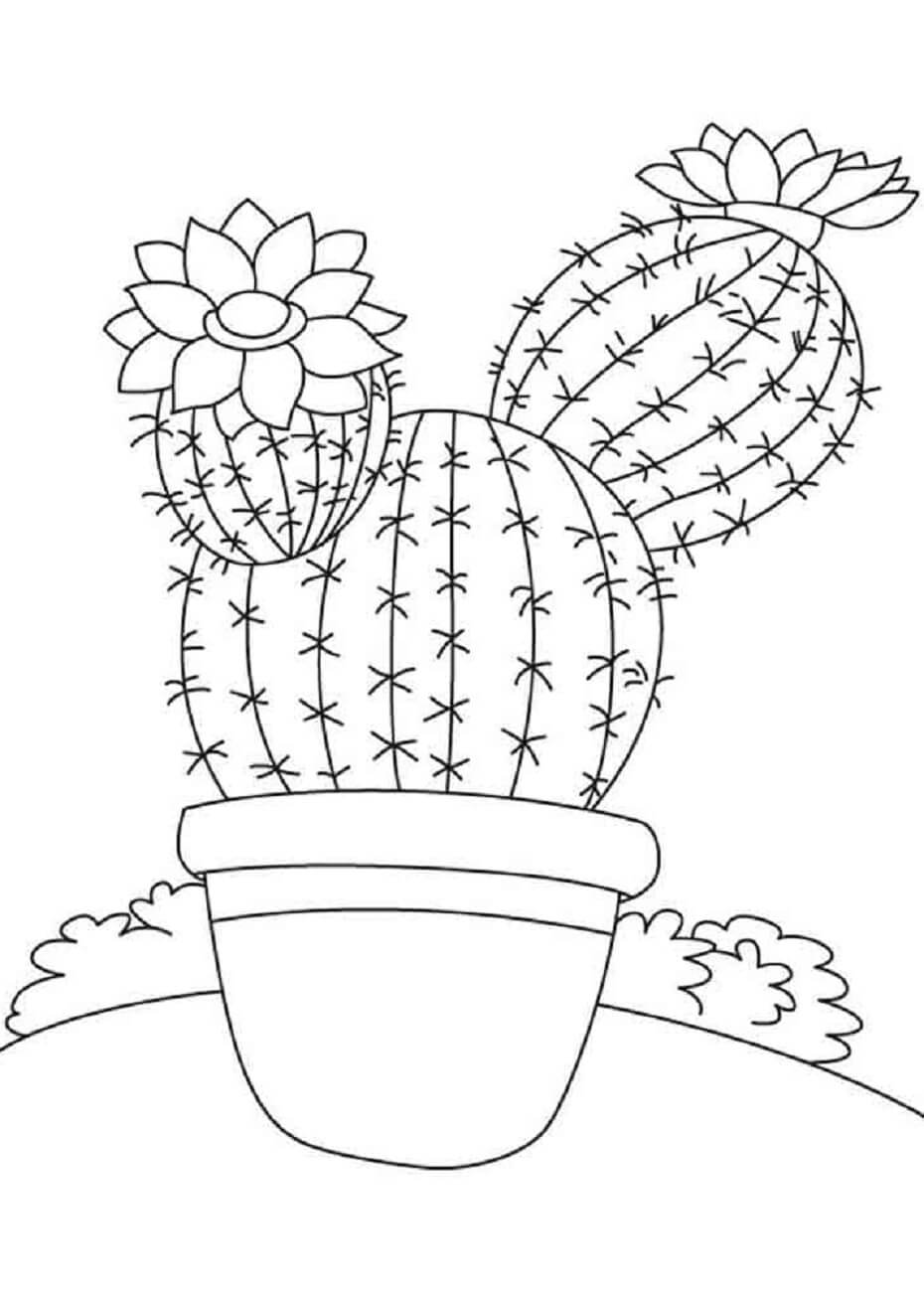 Grundlegender Kaktustopf