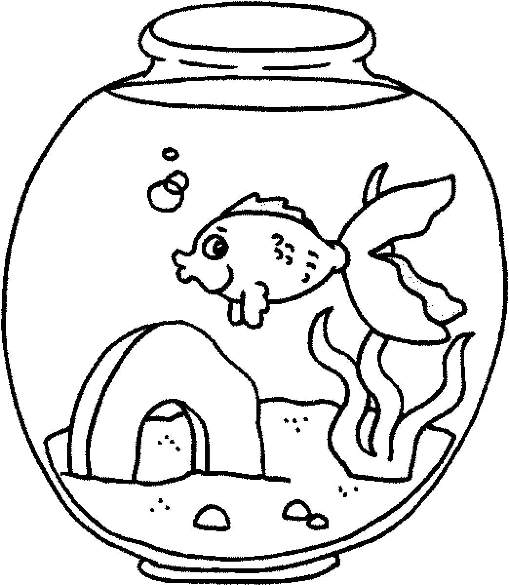 Grundlegendes Zeichnen Aquarium
