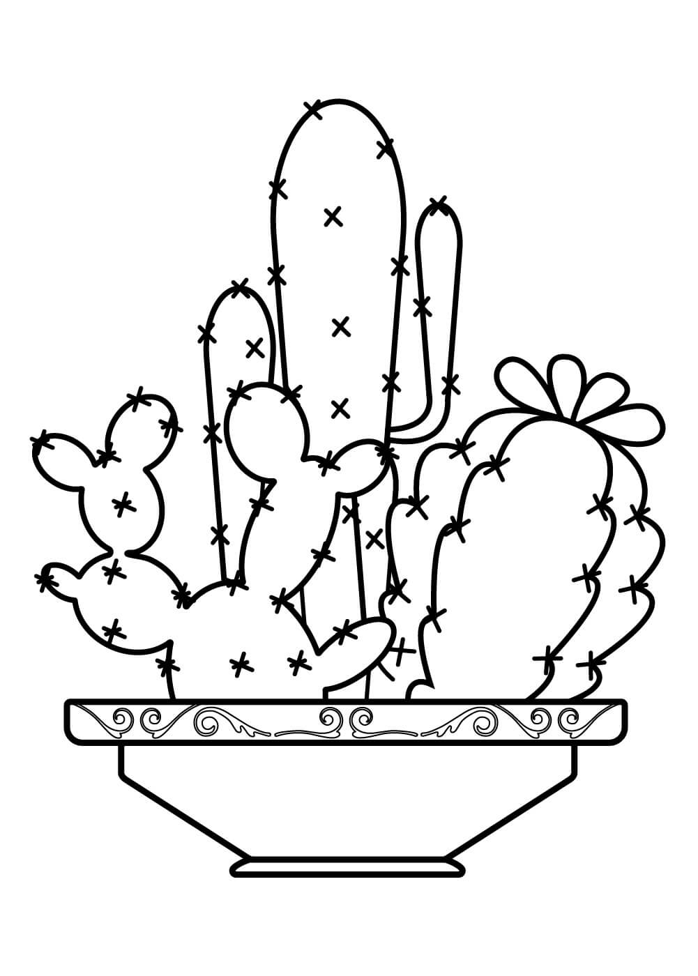 Guter Kaktus