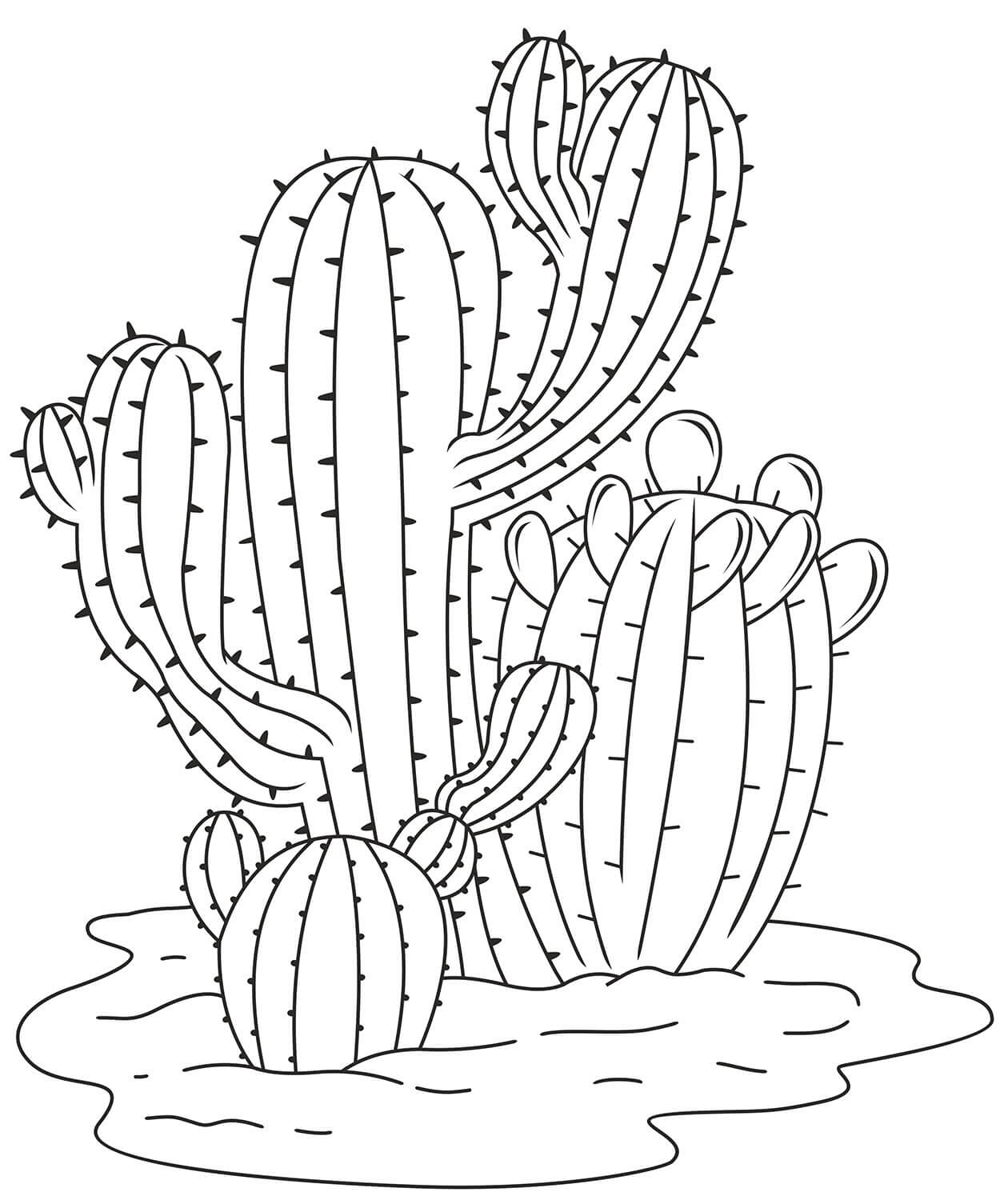 Kaktus Busch
