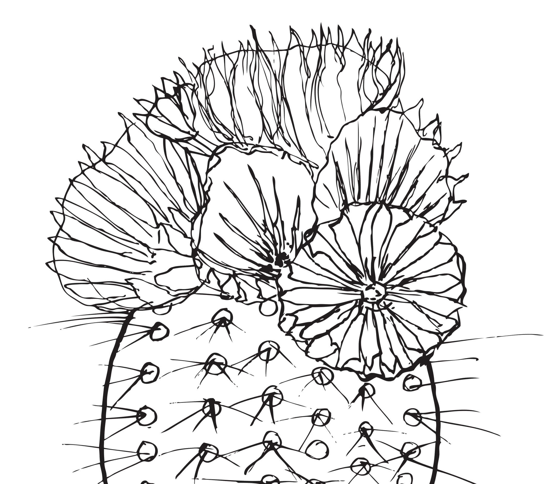 Kaktus mit Blumen