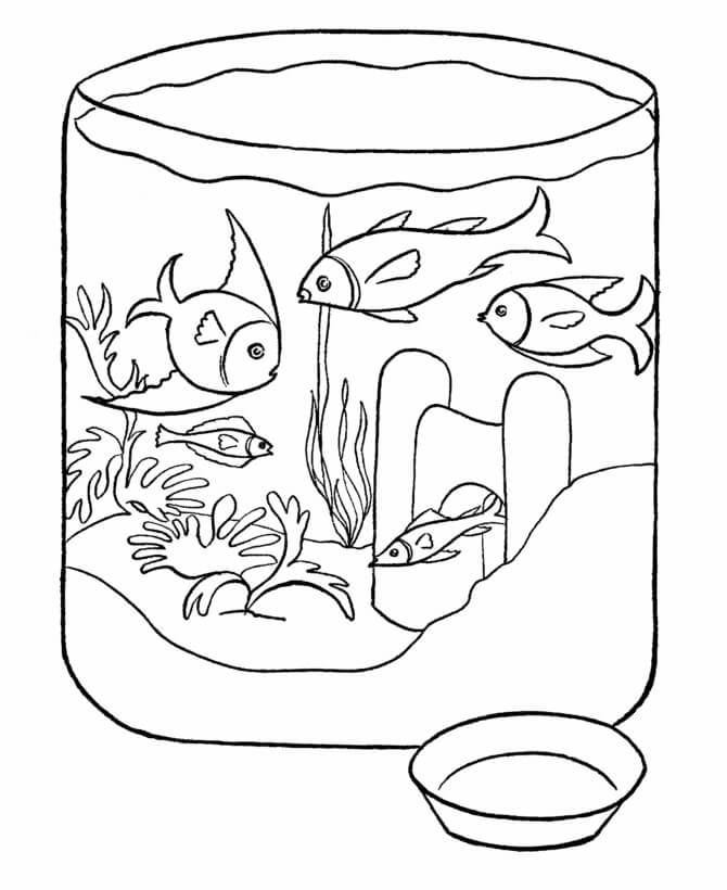 Kleines Aquarium