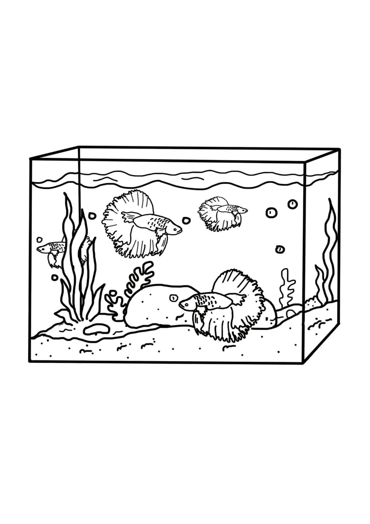 Normales Aquarium
