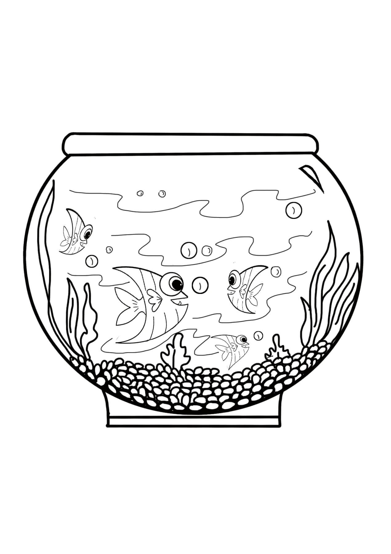 Vier-Fische-Aquarium