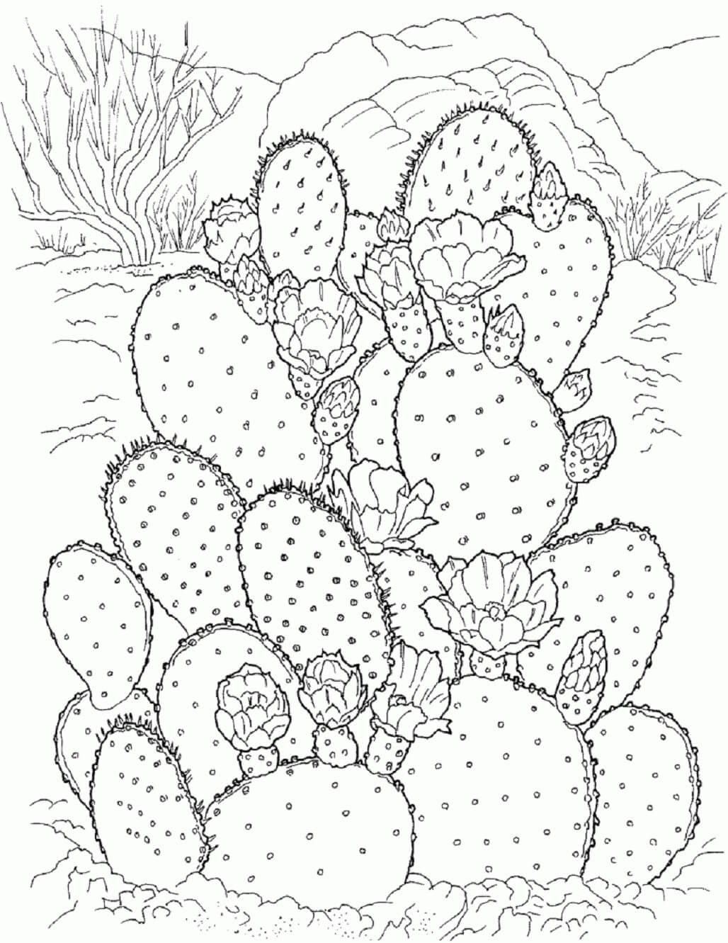 Wunderschöner Kaktusbusch