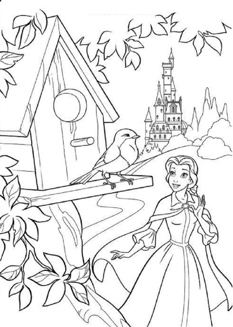 Belle und das Vogelnest