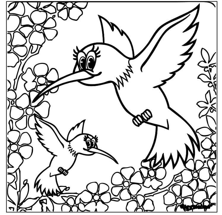 Kolibris im Frühjahr