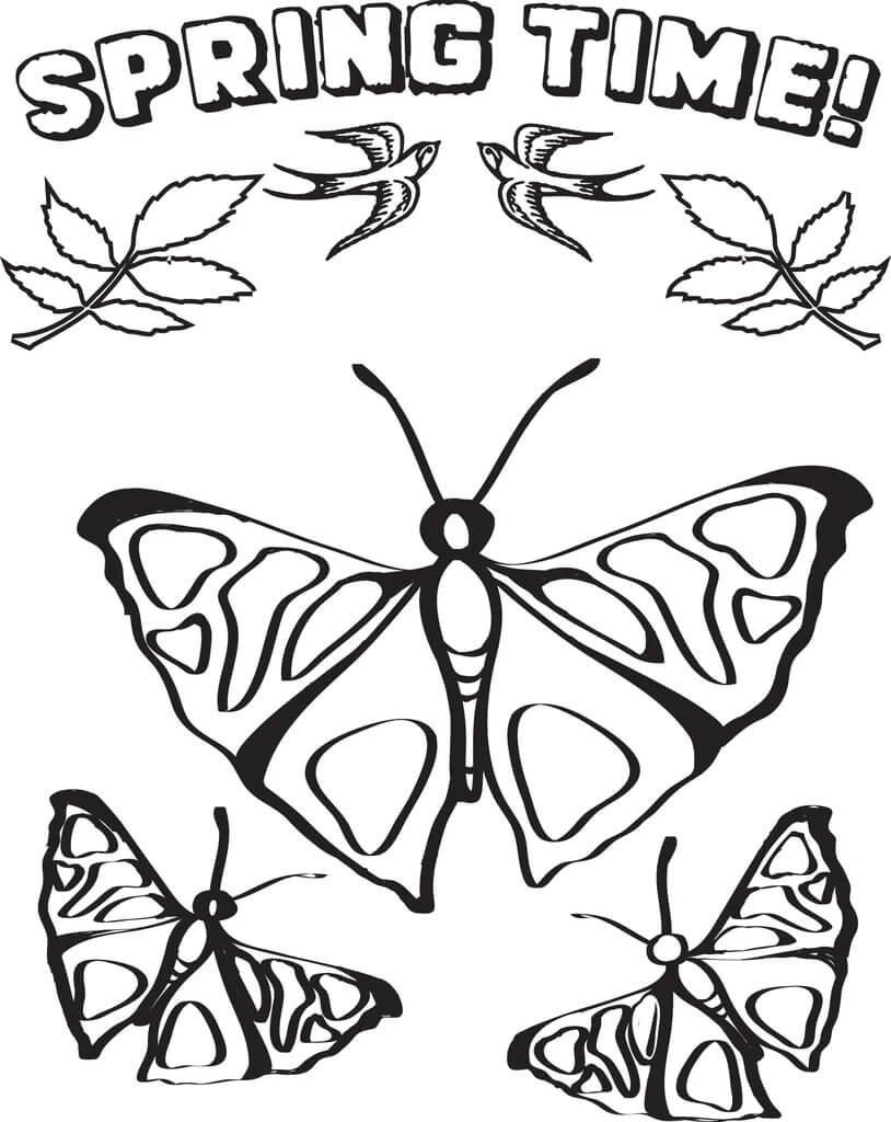 Zeichnen von Schmetterlingen im Frühling