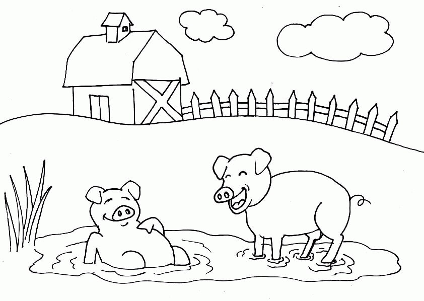 Zwei Schweine auf dem Bauernhof
