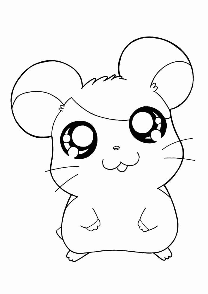 Chibi-Hamster