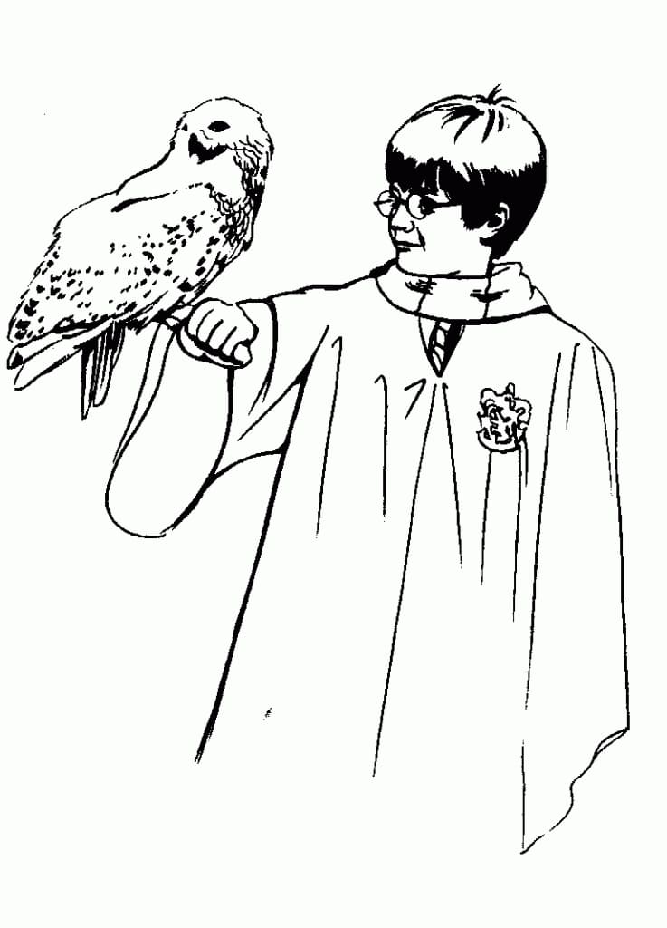 Harry Potter und Eule Bild