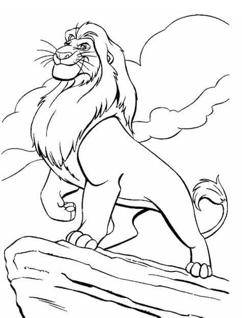 König der Löwen Bild
