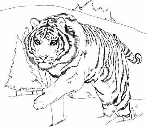 Druckbarer Tiger