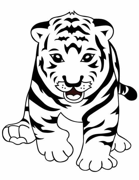 Tiger Bildumriss