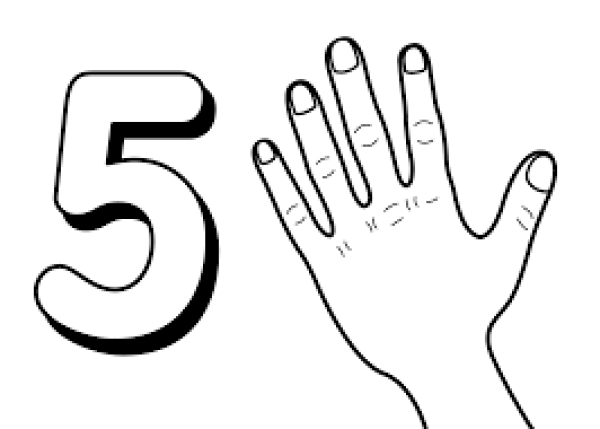 5 Finger