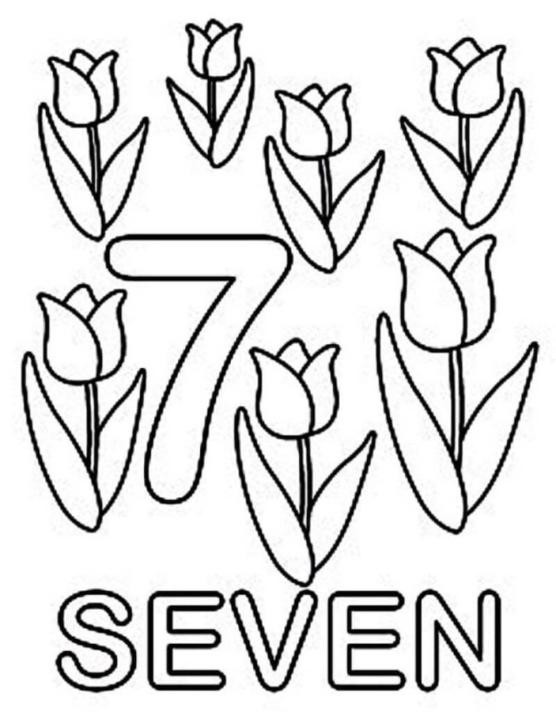7 Blumen