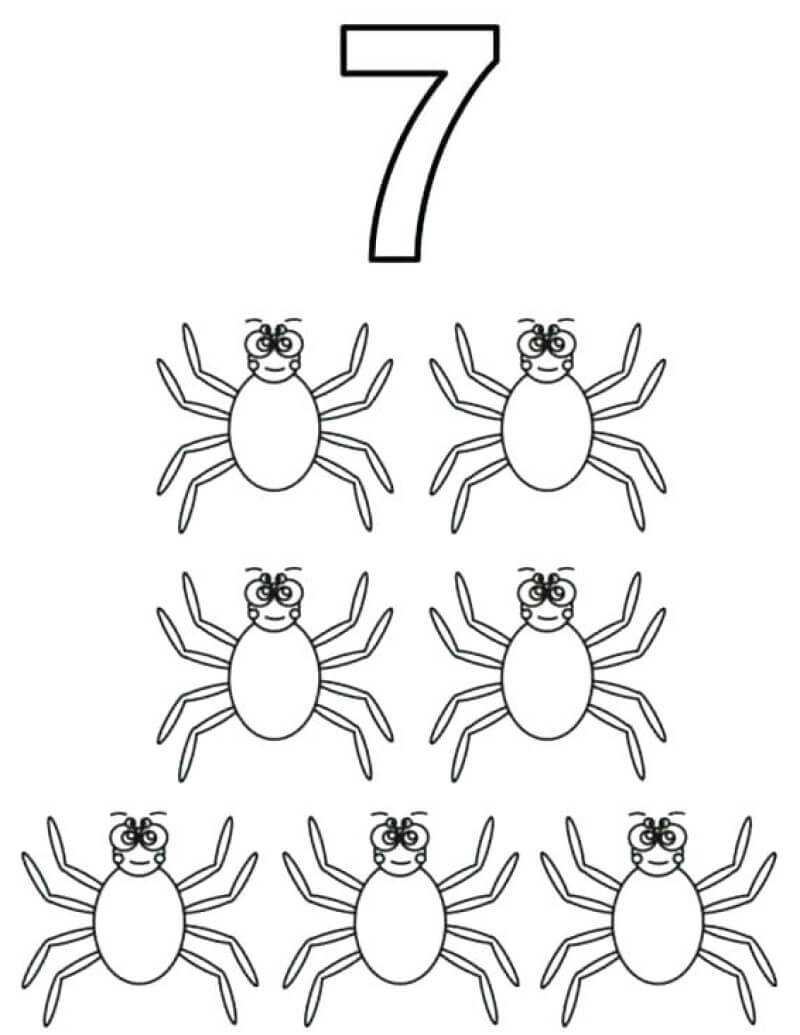 7 Spinnen