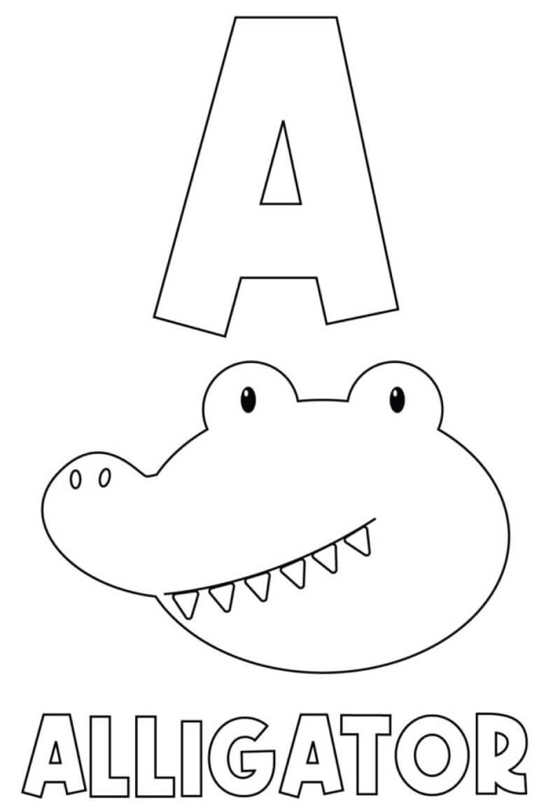 Buchstabe A für Alligator