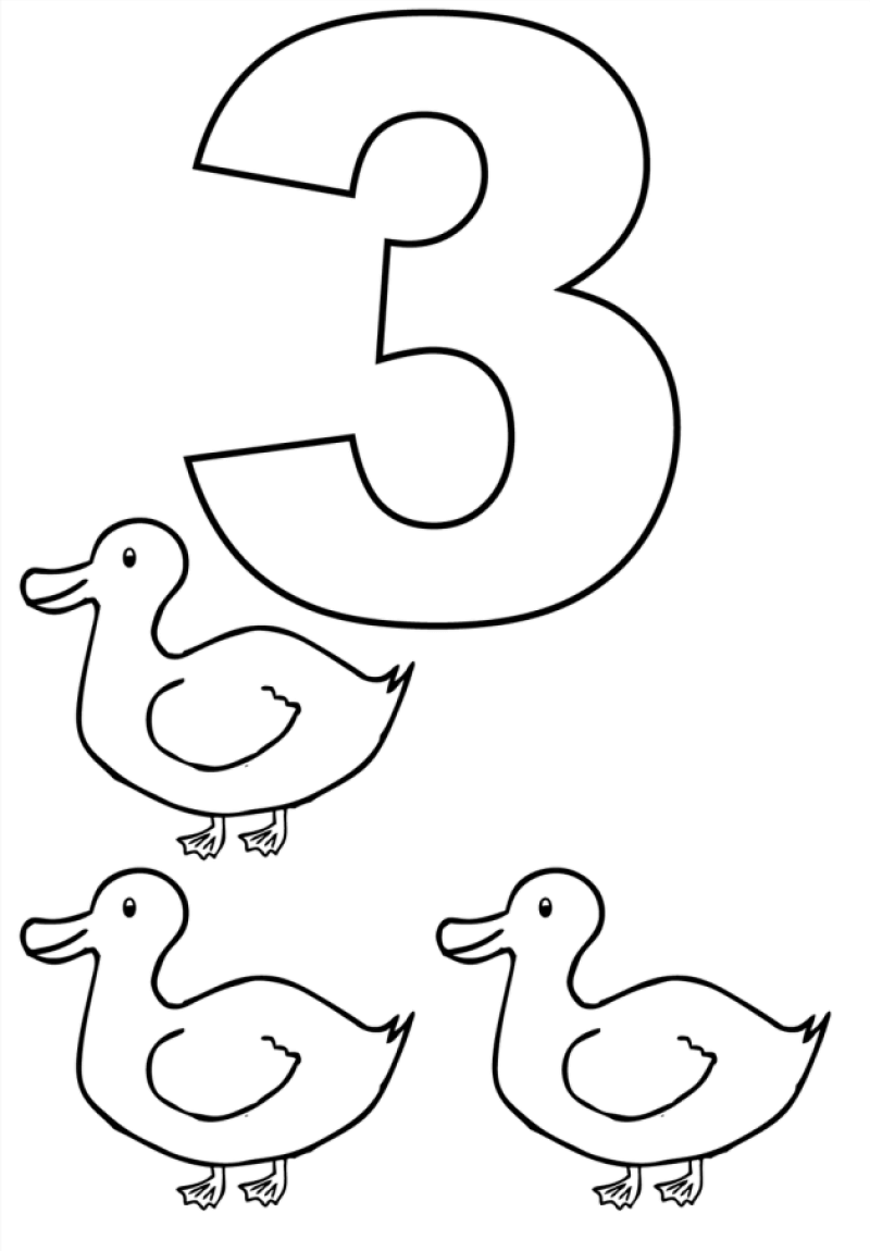 Nummer 3 und 3 Enten