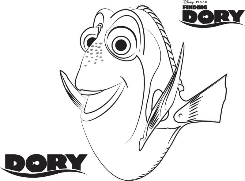 Dory