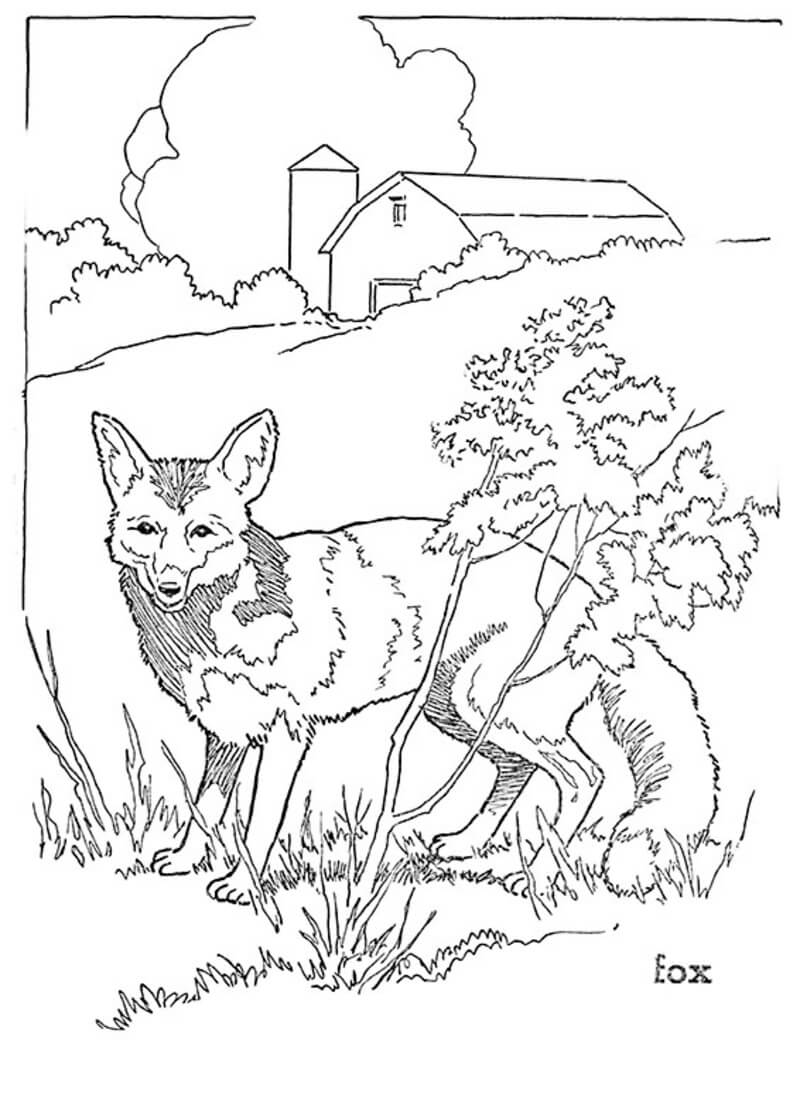 Großer Fuchs