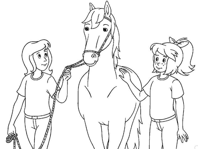Pferd Bibi und Tina