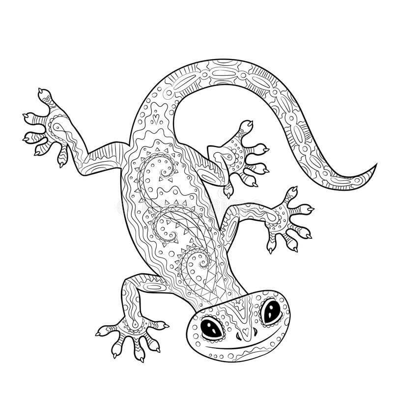 Lieber Gecko