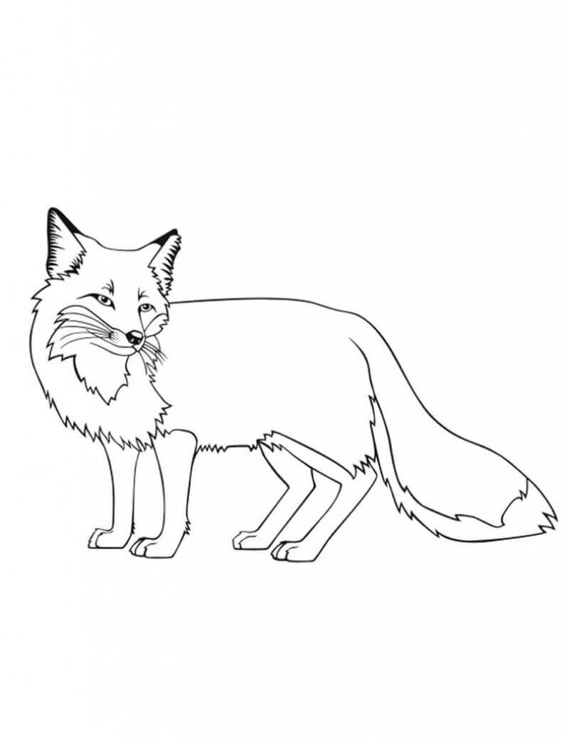 Spukender Fuchs