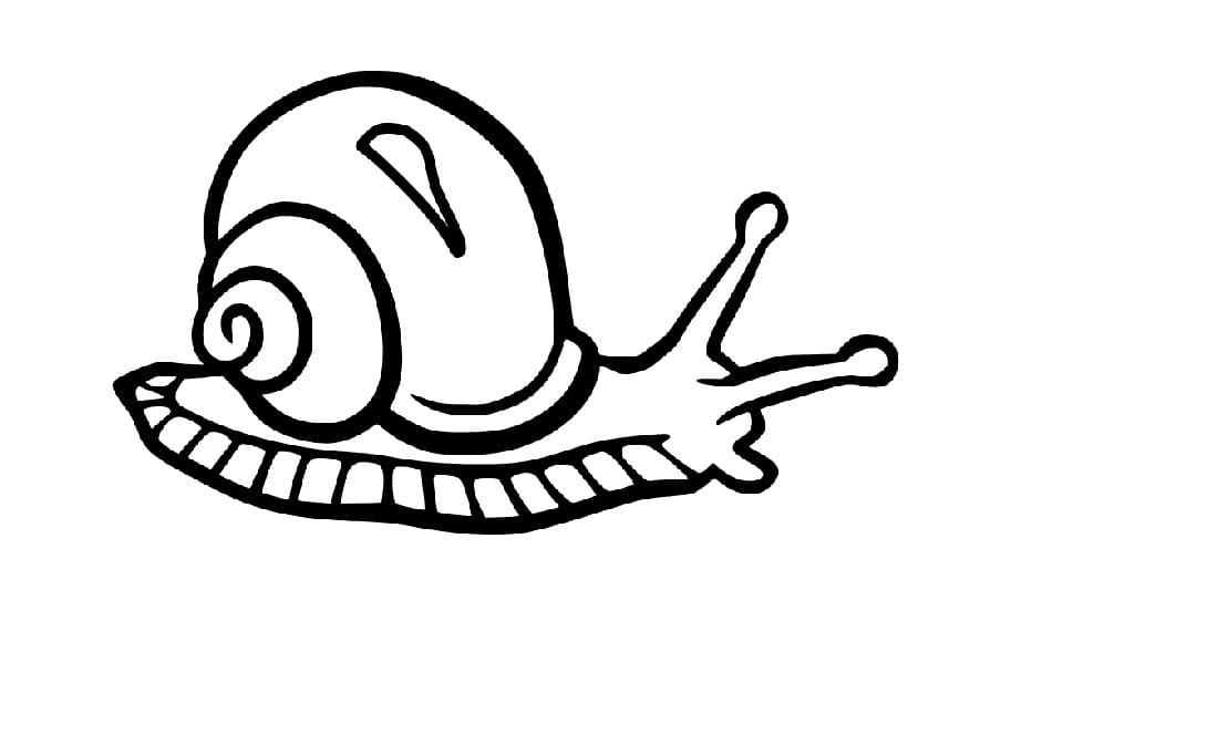 Einfache kriechende Schnecke