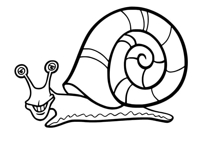 Schnecke mit einem großen Schneckenhaus