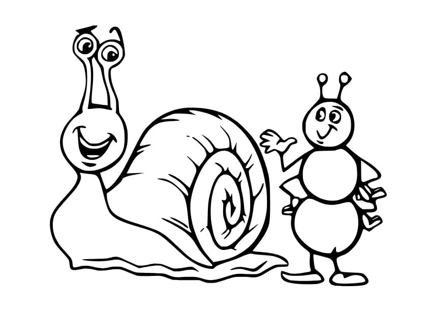 Schnecke und Ameise