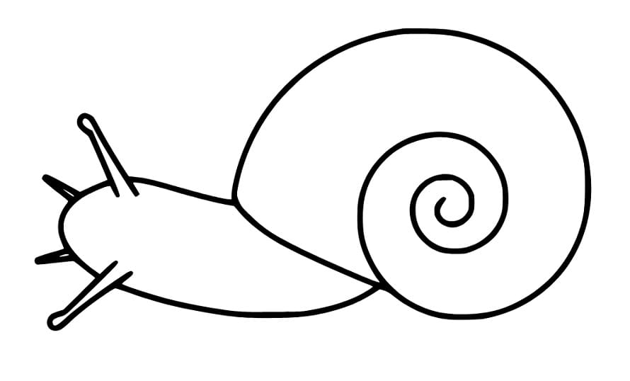 Ausmalbilder Schnecke