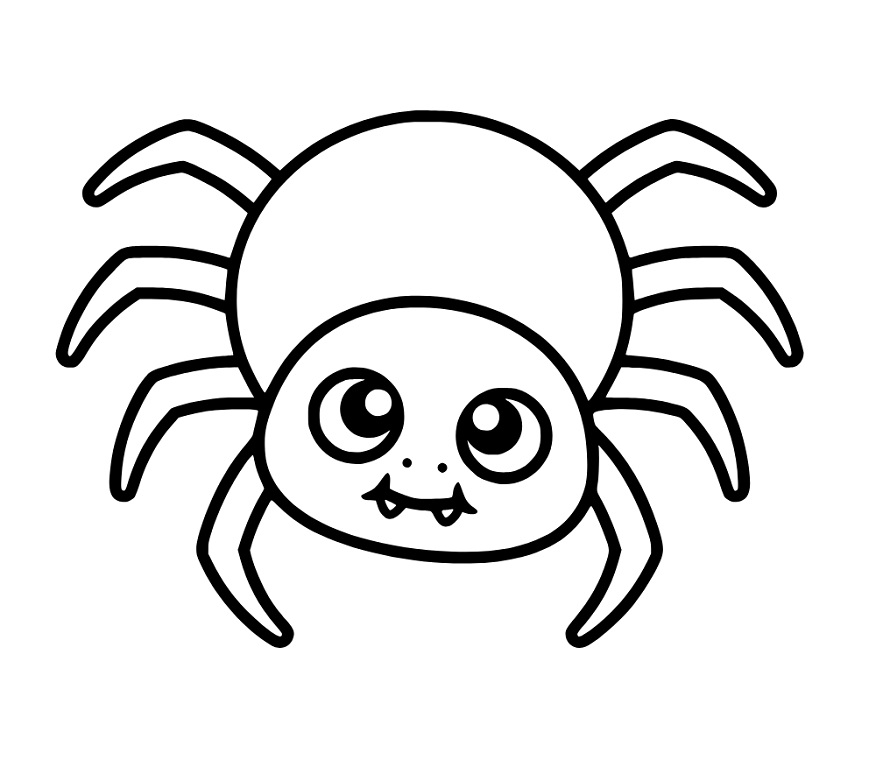 Baby Spinne