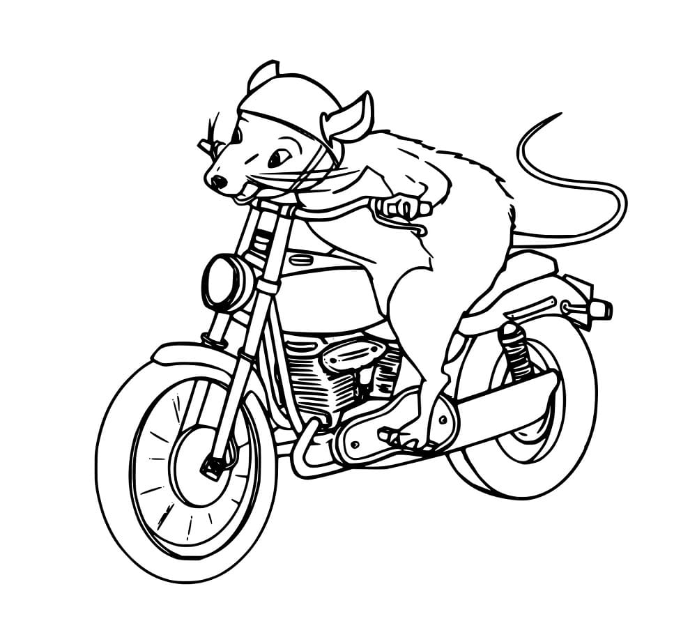 Eine Maus auf einem Motorrad