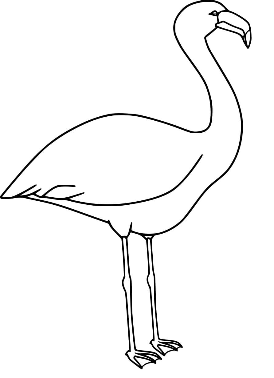 Einfacher Flamingo